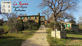  La Giuiaia - Agriturismo Azienda Agricola  Мойано